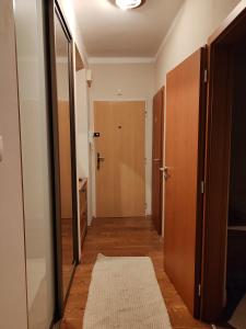 2-izbový apartmán v centre mesta - 2-bedroom apartment with 2 balcony in the centre of the city