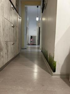 JW M Executive Apartment near Sheraton Down Town