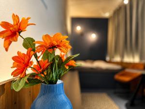 Bratislava center - blue apartment