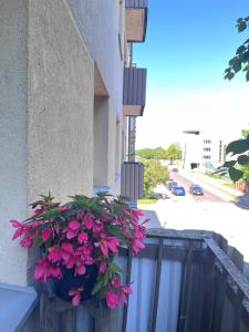 Barinu Street Apartment