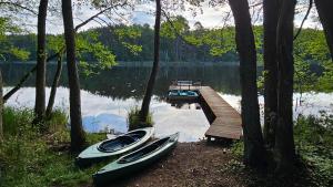 Osada pod Gwiazdami Łasko & SPA - Premium, ogrodzony, 150 m do stawu z plażą, ognisko, grill, taras, Las, JEZIORA, KAJAKI, Plaża, dostępne SAUNA i JACUZZI