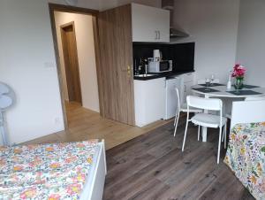 Brand New studio apartment #20 near center with FREE street parking