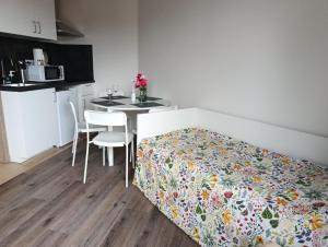 Brand New studio apartment #20 near center with FREE street parking