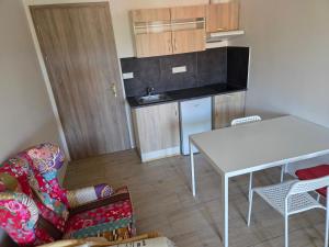 Brand New studio apartment #20 near center with FREE street parking