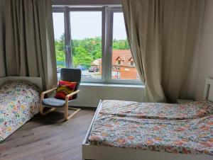 Brand New studio apartment #20 near center with FREE street parking