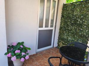 Apartman Campo
