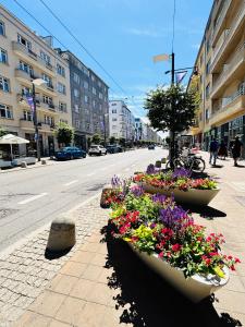 Gdynia Apartament 9B