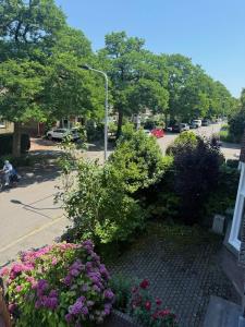 Stadsresidentie aan de Fronten II