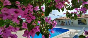 Sunflower House Istria - Tuscany Apartment