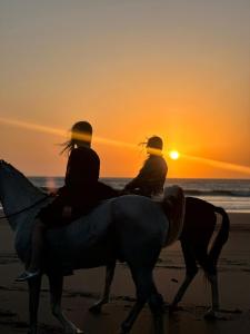 ,,, Sidi kaouki Tayoukhte Surf House with Pool ,,, Surfing lessons, Horse Riding & Quad adventures ,,, Local experiencesin one place