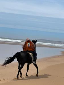 ,,, Sidi kaouki Tayoukhte Surf House with Pool ,,, Surfing lessons, Horse Riding & Quad adventures ,,, Local experiencesin one place