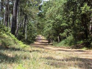 parc lagranche