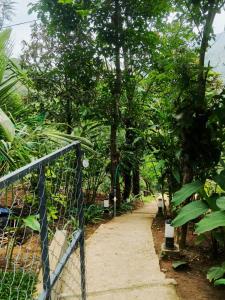 Mount Homestay