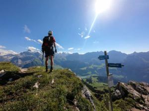 Mountain Retreat Near Titlis With Garden & Views