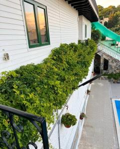 Chalet Duplex N 6 avec piscine