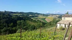 Casale Biancopecora - SantʼElpidio Morico