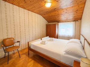 Zoncolan Mountain Lodge - Ride & Ski