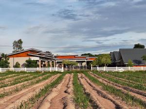 บ้านน้ำผึ้งโฮมสเตย์ Pool & Garden