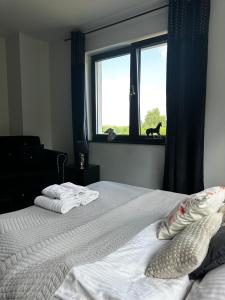 Modern Rancho - apartamenty nad rzeką, przy stadninie koni