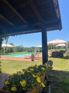 Podere San Rocco