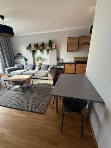 Apartament Słoneczny z widokiem - Hallera