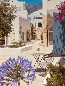 Ora Mare Studio, Drymades