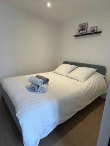 Charming cocoon in downtown Angers