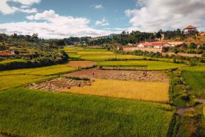 Ricefield Valley Hotel