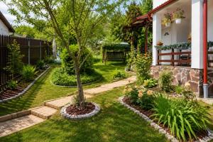 Vila Mikdonia - Predelut Home