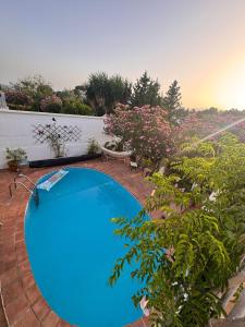 Apartment Casa Casandra , Urbanisation Dona Pilar - beautiful, peaceful & tranquil