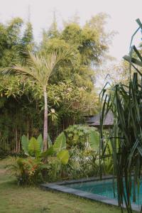 Cozy Garden Bungalow with Shared Pool