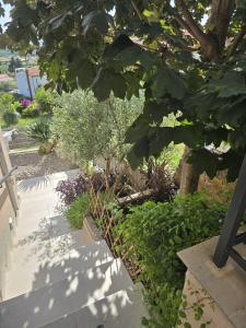 Villa Joy- Paradise near Split by Istra Vacation