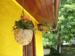 BODZA Apartment