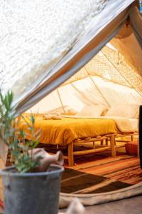 Omi Farm & Lodge