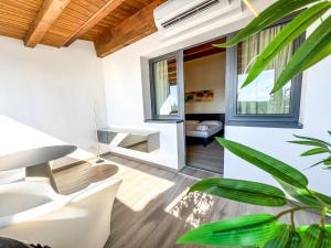 Continental Urban Art Hotel