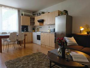 HifiKlubBrno Apartment Komin AIRCONDITION and PARKING