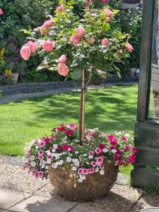 Familie Postma B&B Anjum