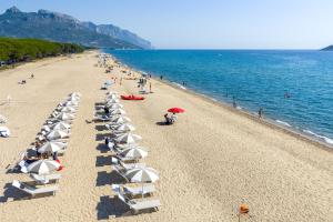 Camping Iscrixedda
