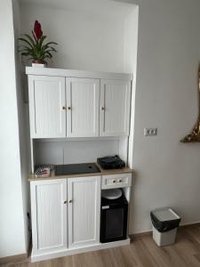 Fior di Loto Suite - Lungo Po