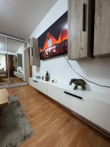 Sabera Nest