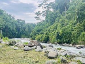 Toucan Villa -riverfront With Pool & Near A Beach