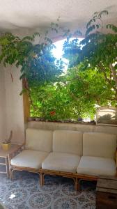 Casa Glicine Isola del Giglio