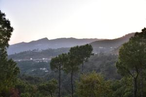 Summer Imperial Crest Hotels By Stayza Retreat