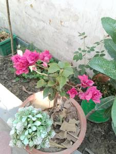 Utsav Villa