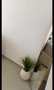 Appartement S2 résidence costa