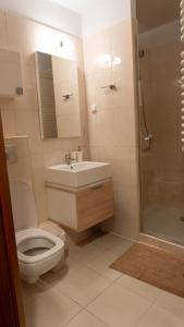Apartamenty Połoniny