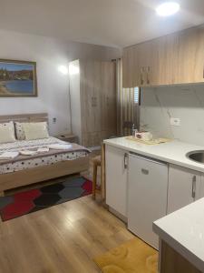 Pogradec Lake Apartments