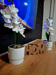 Urban Stay Kumanovo