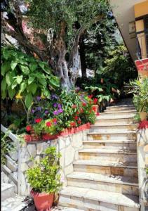 Vasiliki garden view apartment