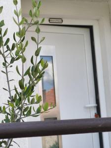 Brkos Place Sinj